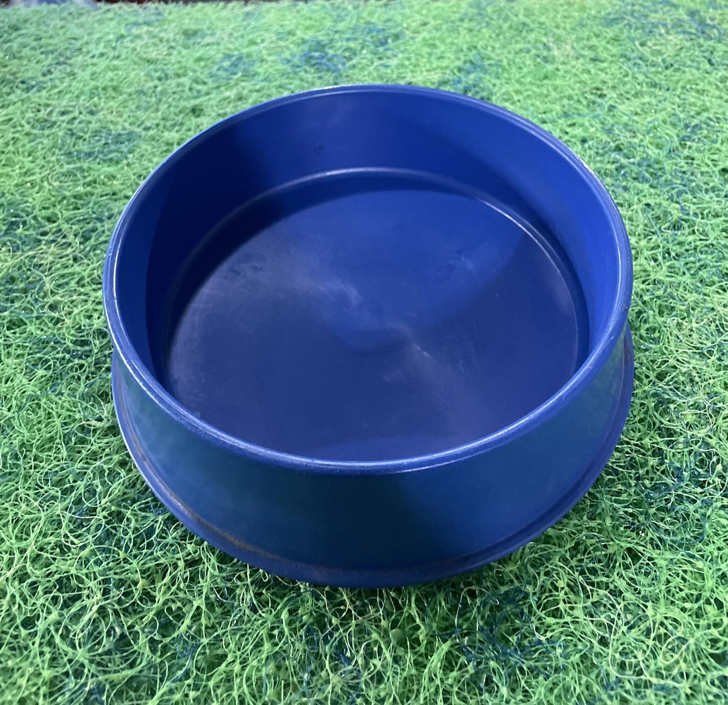 Cute Dog Bowl